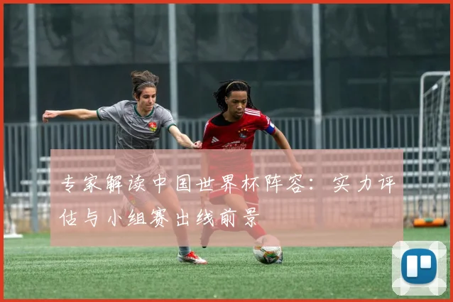 专家解读中国世界杯阵容：实力评估与小组赛出线前景