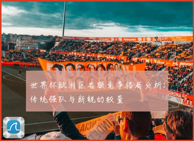 世界杯欧洲区名额竞争格局分析：传统强队与新锐的较量