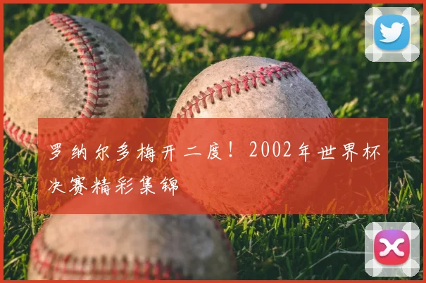 罗纳尔多梅开二度！2002年世界杯决赛精彩集锦