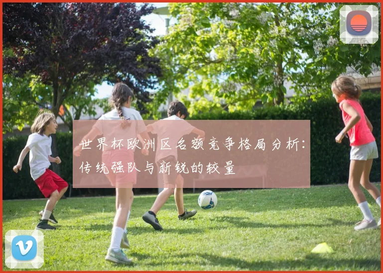世界杯欧洲区名额竞争格局分析:传统强队与新锐的较量