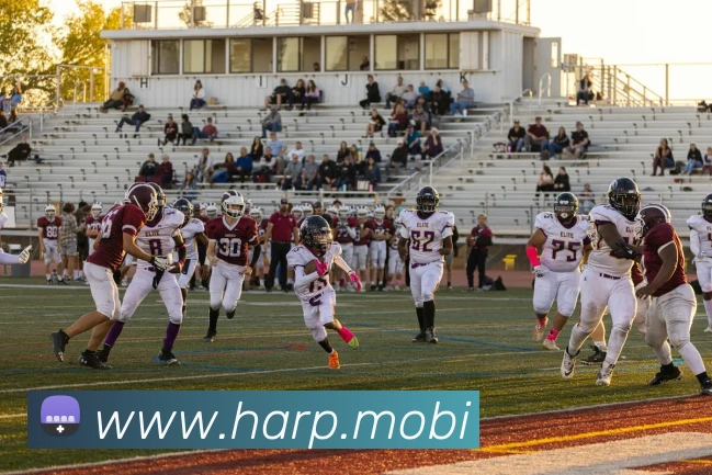 开云在线官网登录app服务体系